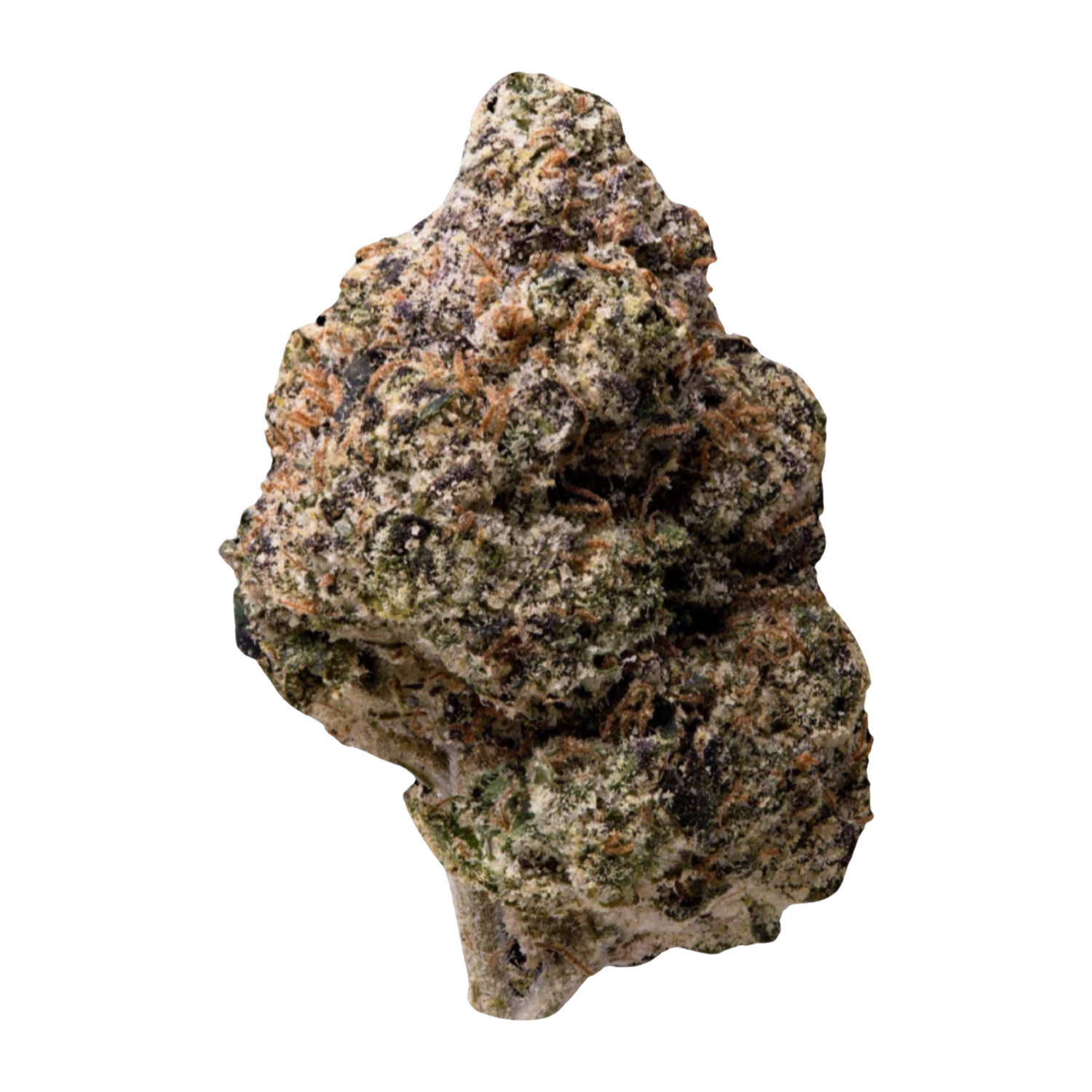 [Top Shelf] Tropical Punch Sativa