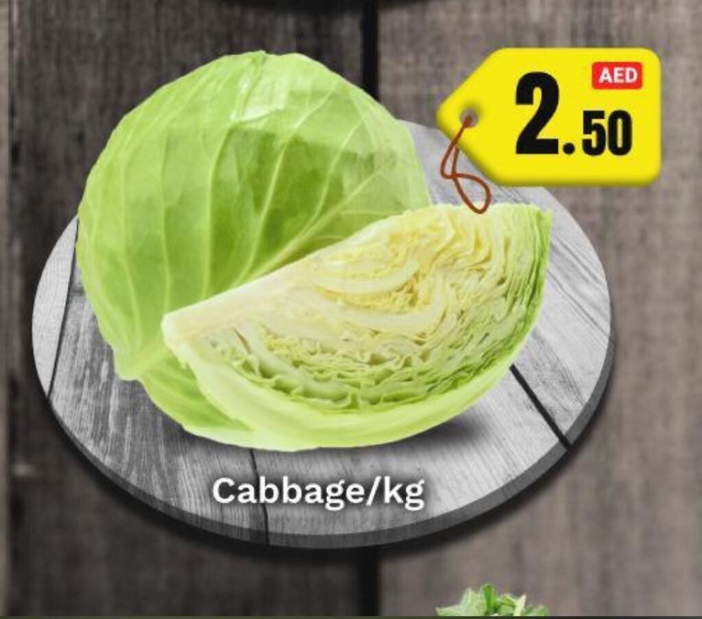 Cabbage Top Quality