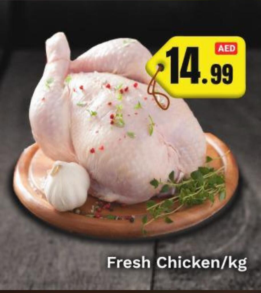 Fresh Chicken Top Quality