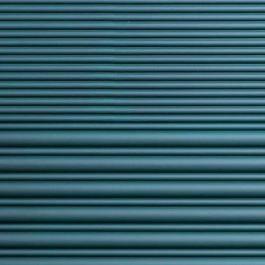 WX210 Reed