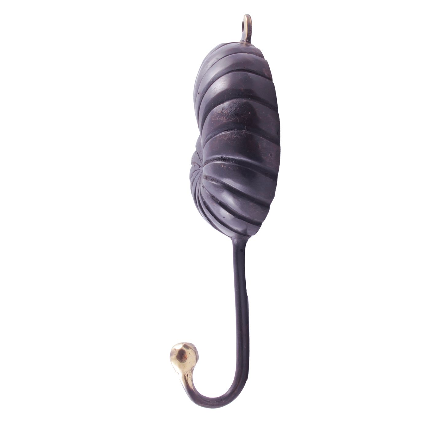Nautilus,Haken Aus Messing