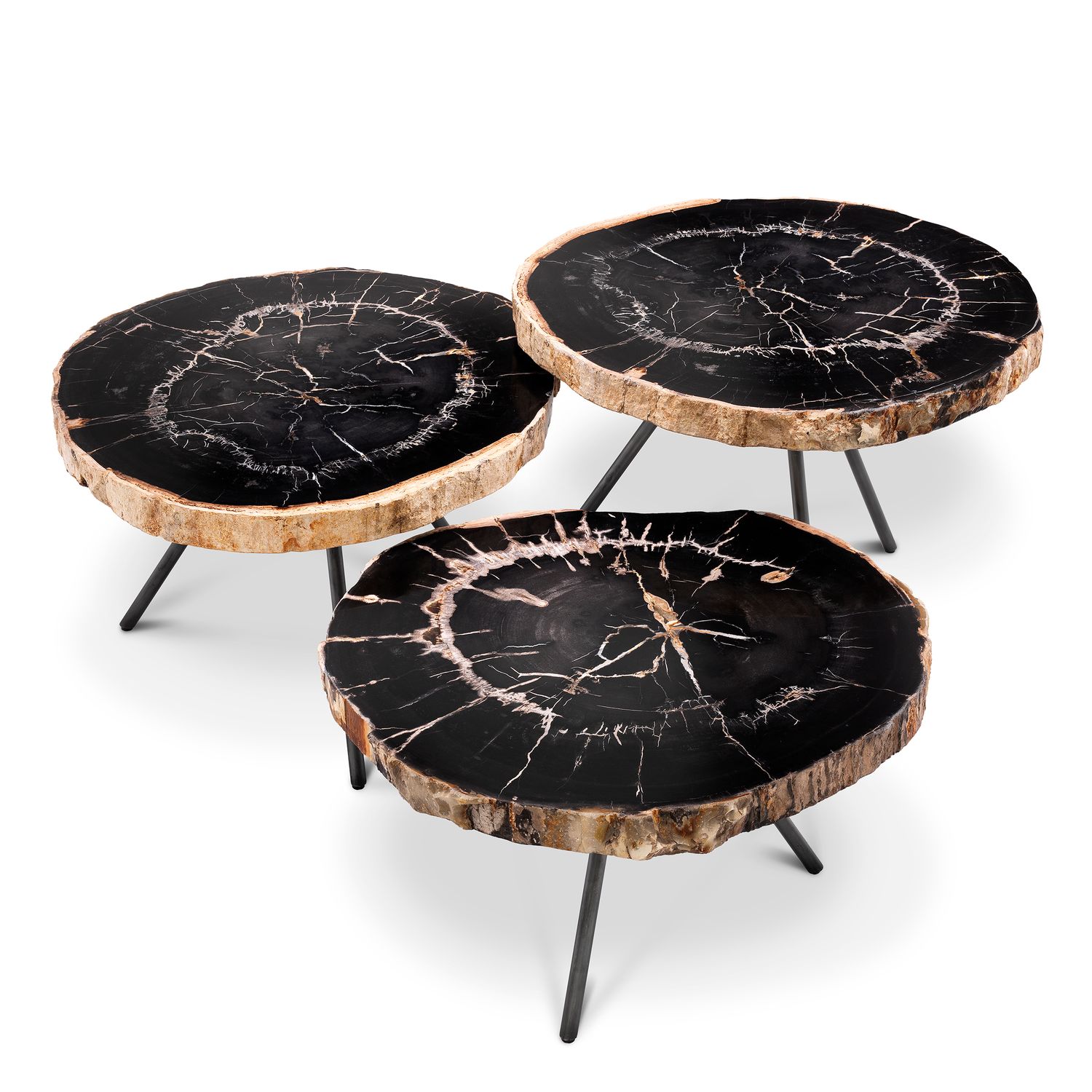 Coffee Table De Soto dark range petrified wood set of 3