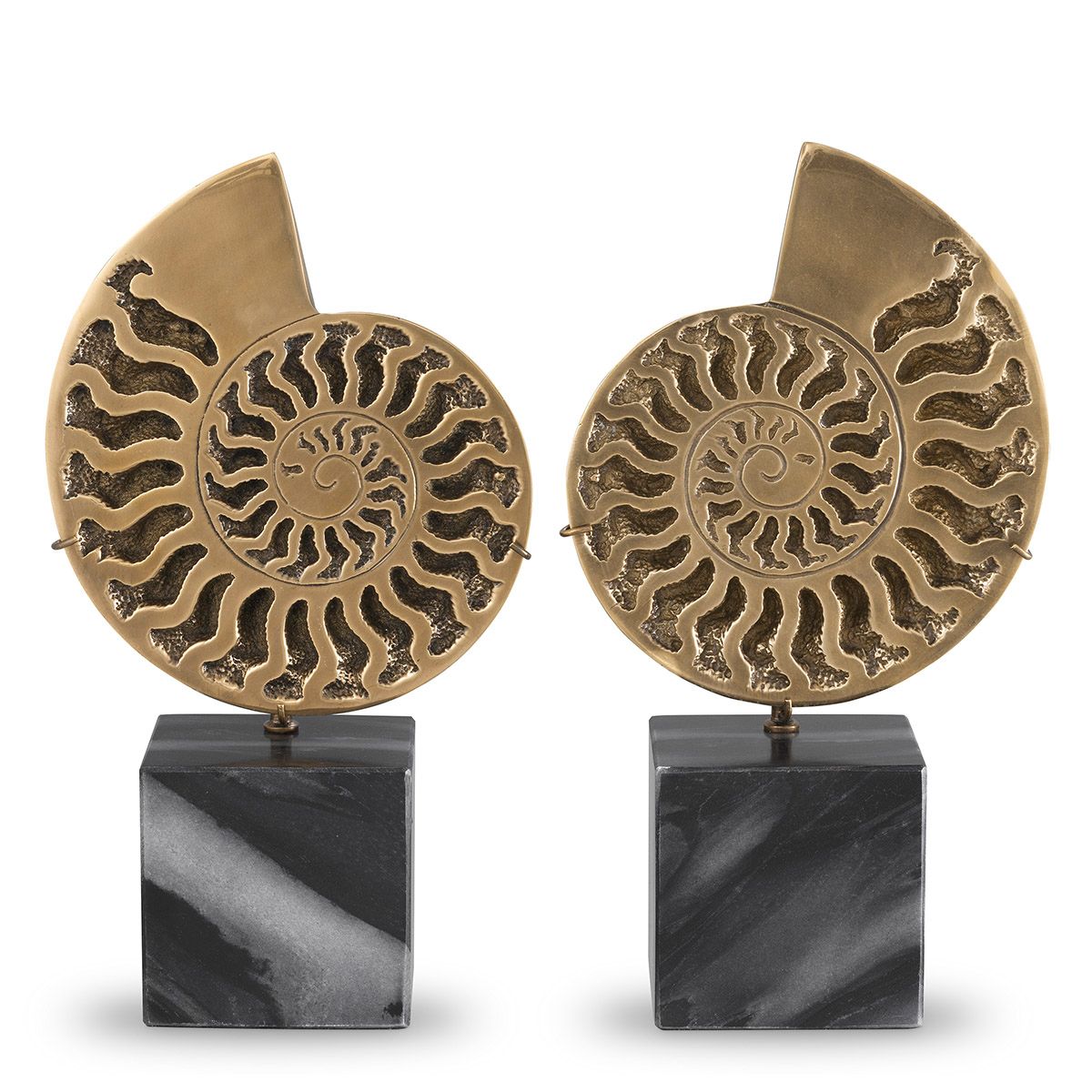 Object Ammonite vintage brass finish set of 2