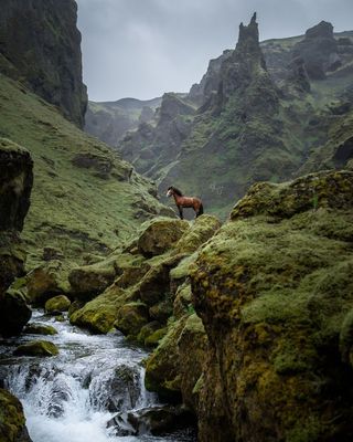 Icelandic Mega Pack