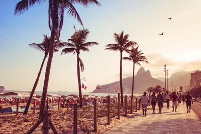 Brazil Travel Pack