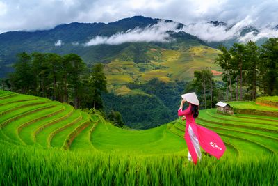 Northern Vietnamese Mega Pack