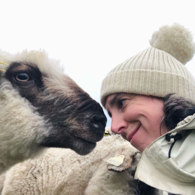 Guide cadeaux | Gift guide