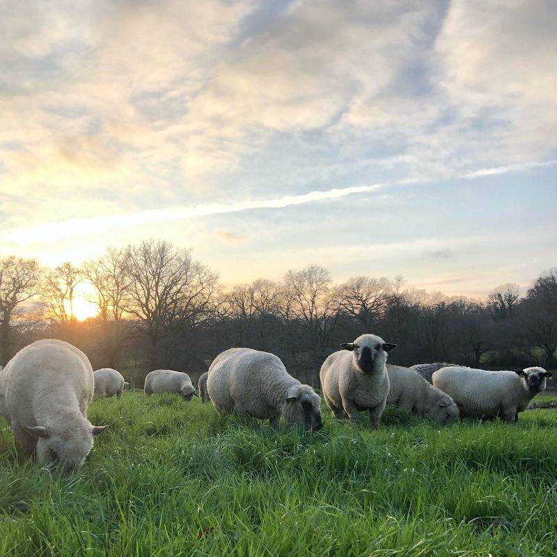 TOUS NOS FILS | ALL OUR YARNS