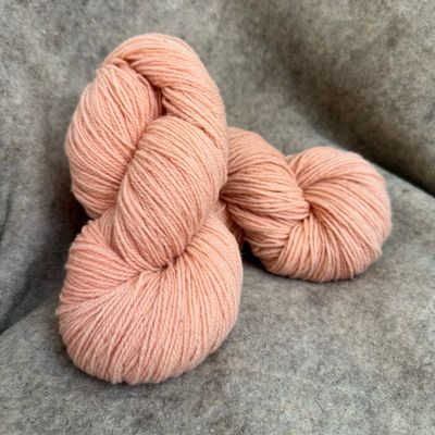 FOLKLORIQUE - Coquille