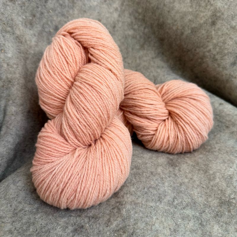 FOLKLORIQUE - Coquille