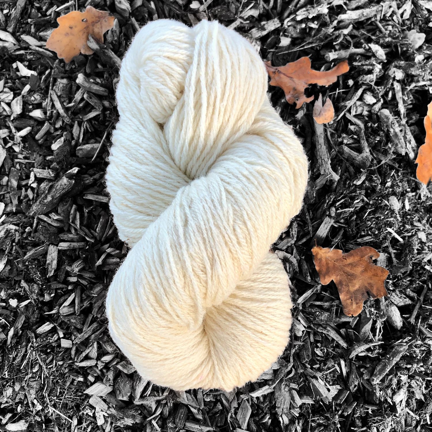 PASTORALE - Ecru - DK