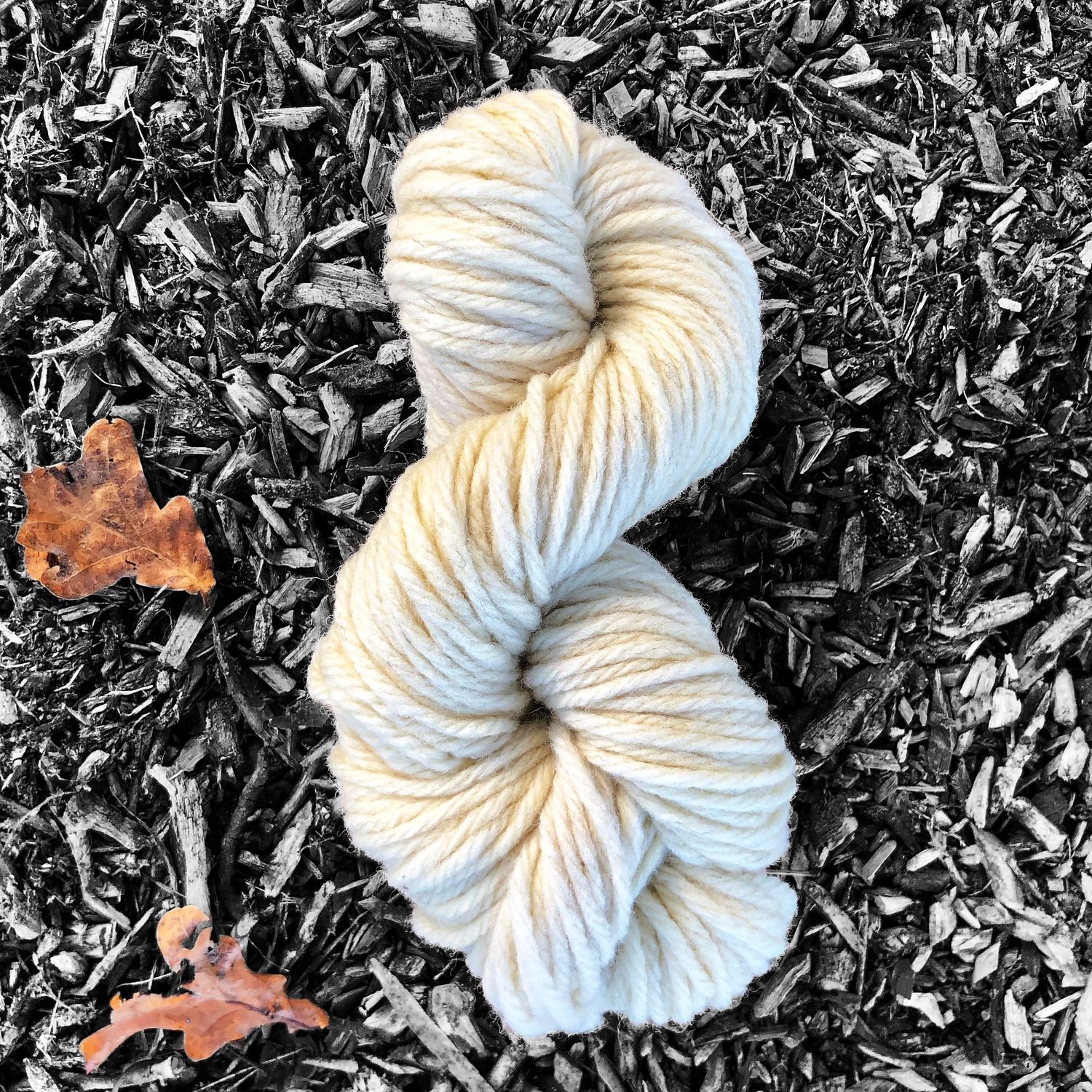 PASTORALE - Ecru - Super Chunky