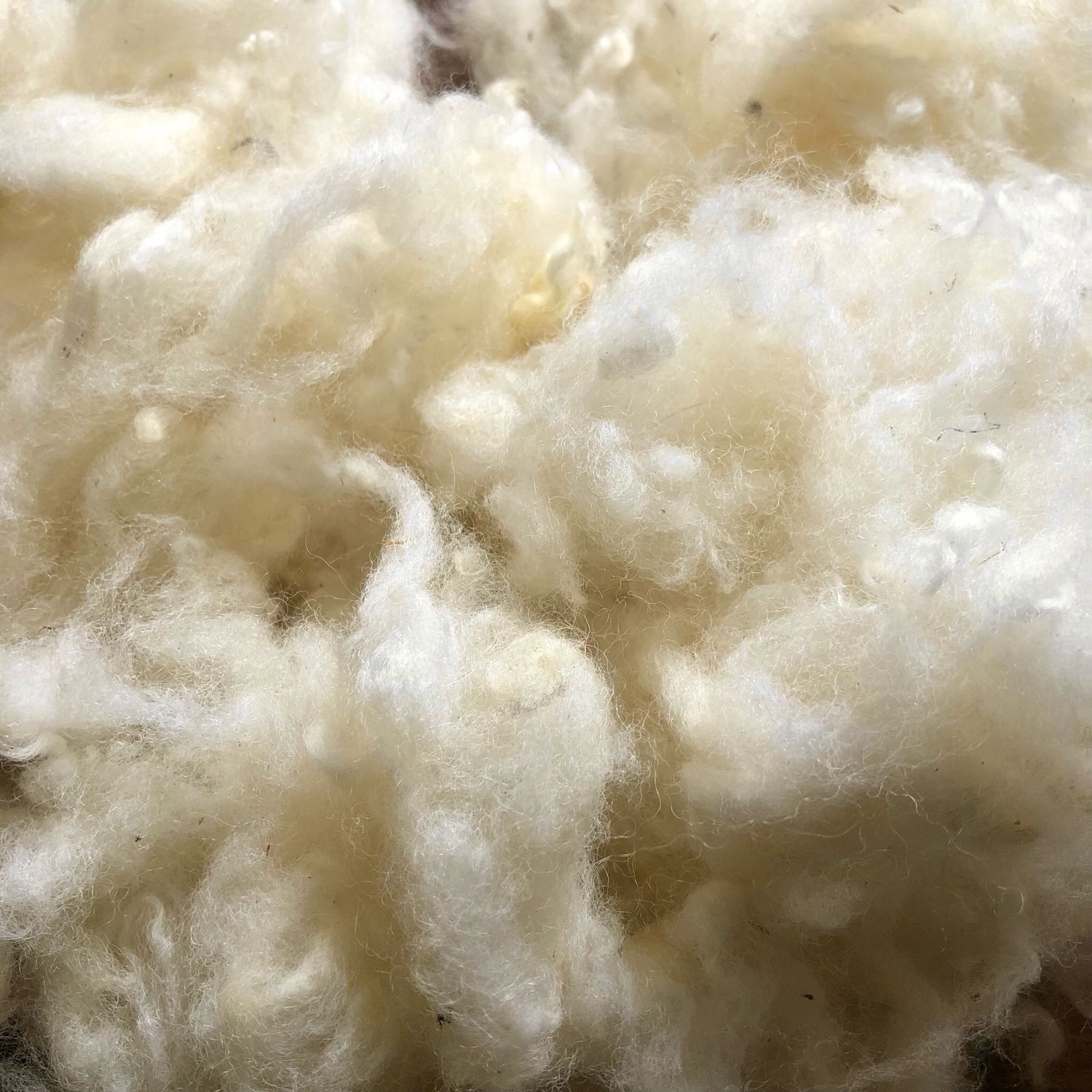 Flocons de laine | 100 g | Wool flakes
