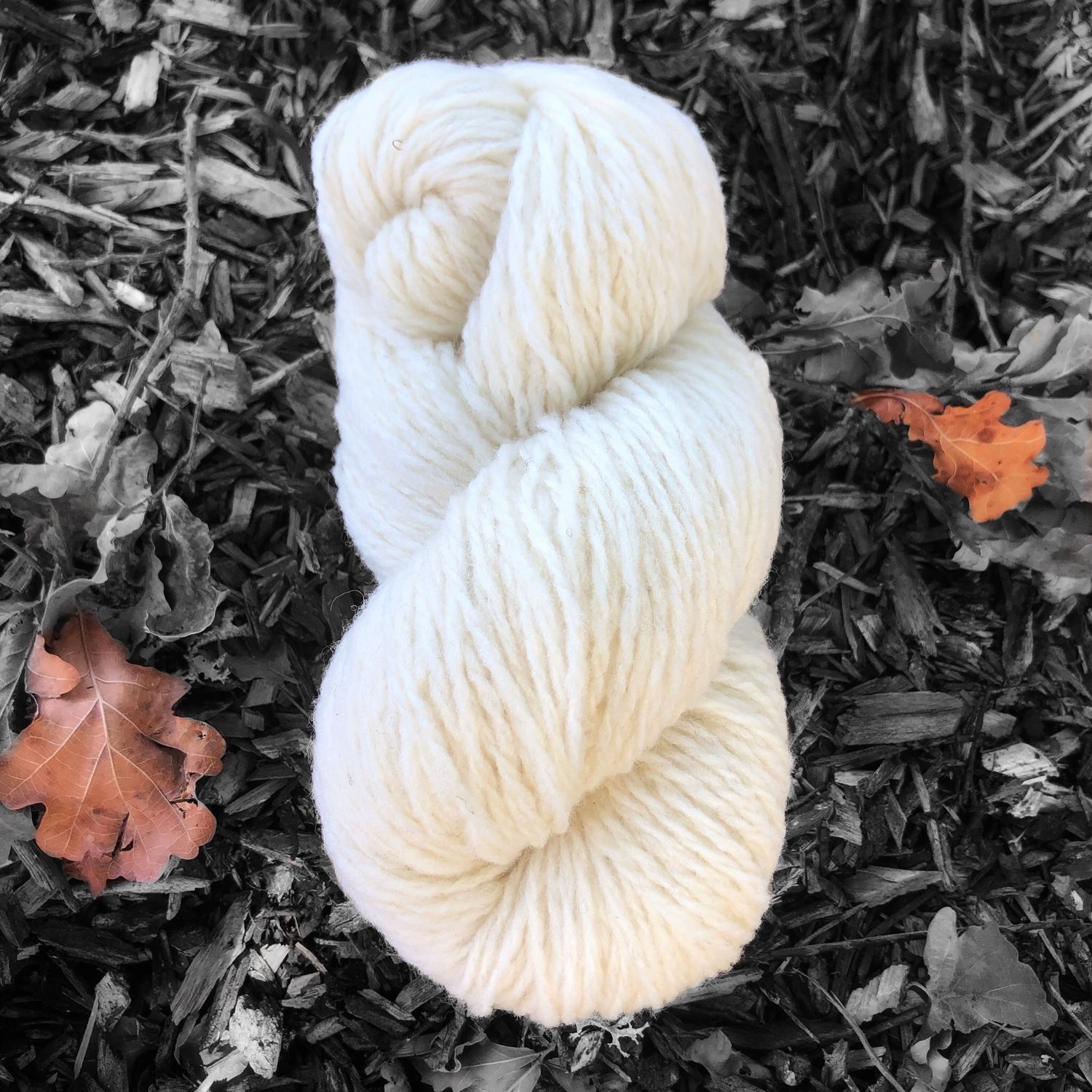 PASTORALE - Ecru - Aran Léger