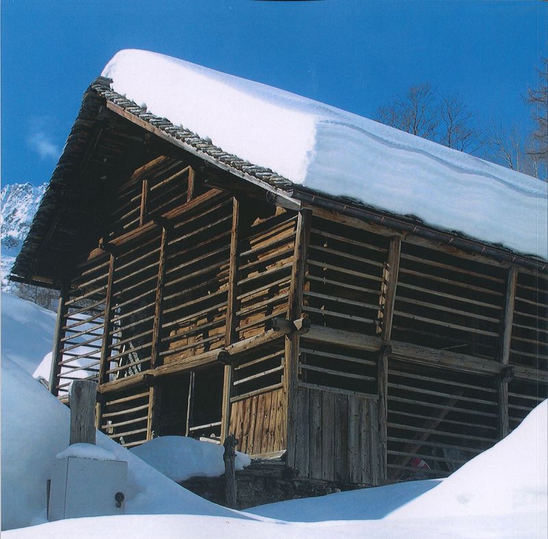 Vivere nelle Alpi. Architetture in legno della tradizione / Leben in den Alpen. Die trditionelle Holzbauweise