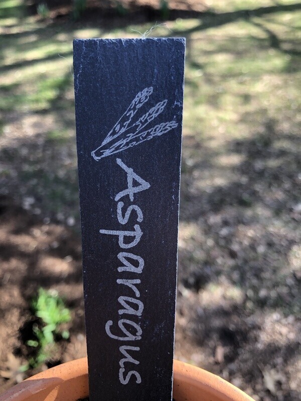 Slate Plant Tags -Test