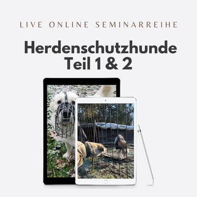 Online Workshop Reihe Herdenschutzhunde für HalterInnen und HundewerkerInnen
