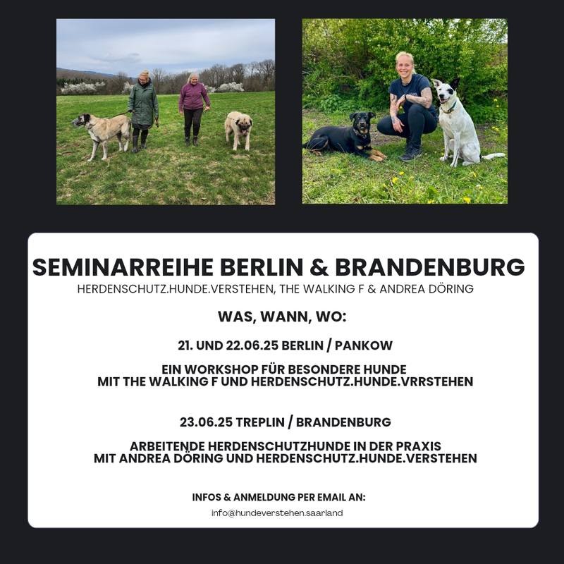 Seminarreihe Berlin &amp; Brandenburg für HundewerkerInnen