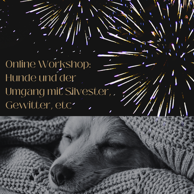 Ich glaub es knallt! Online Workshop zum besseren Umgang mit Unwetter und Feuerwerk