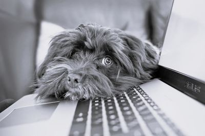 Unsere Sommer-Online-Workshops