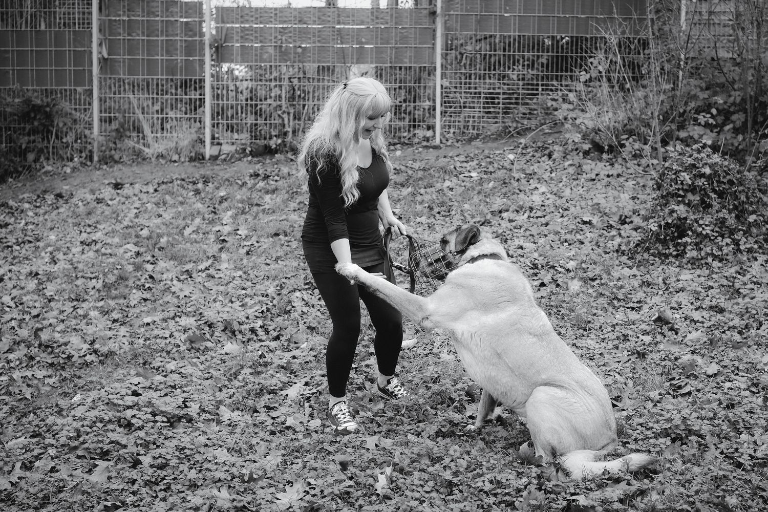 Praxis-Workshop Hunde FAIR-stehen / Saarland