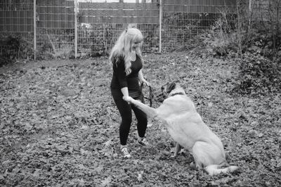 Praxis-Workshop Hunde FAIR-stehen / Saarland