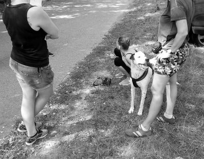 Coaching in Sachen Sachen Sachkunde und Wesenstest für HundewerkerInnen