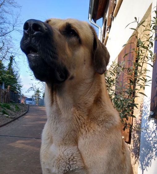 Anger Management: Trainingsangebote zu Frustrationstoleranz und Impulskontrolle