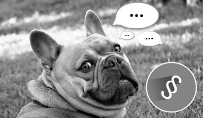 Sachkunde und Wesenstest