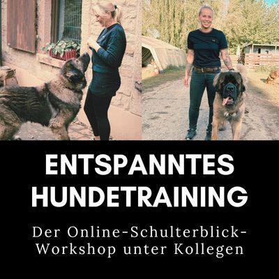 Entspanntes Hundetraining - Der Online-Schulterblick-Workshop