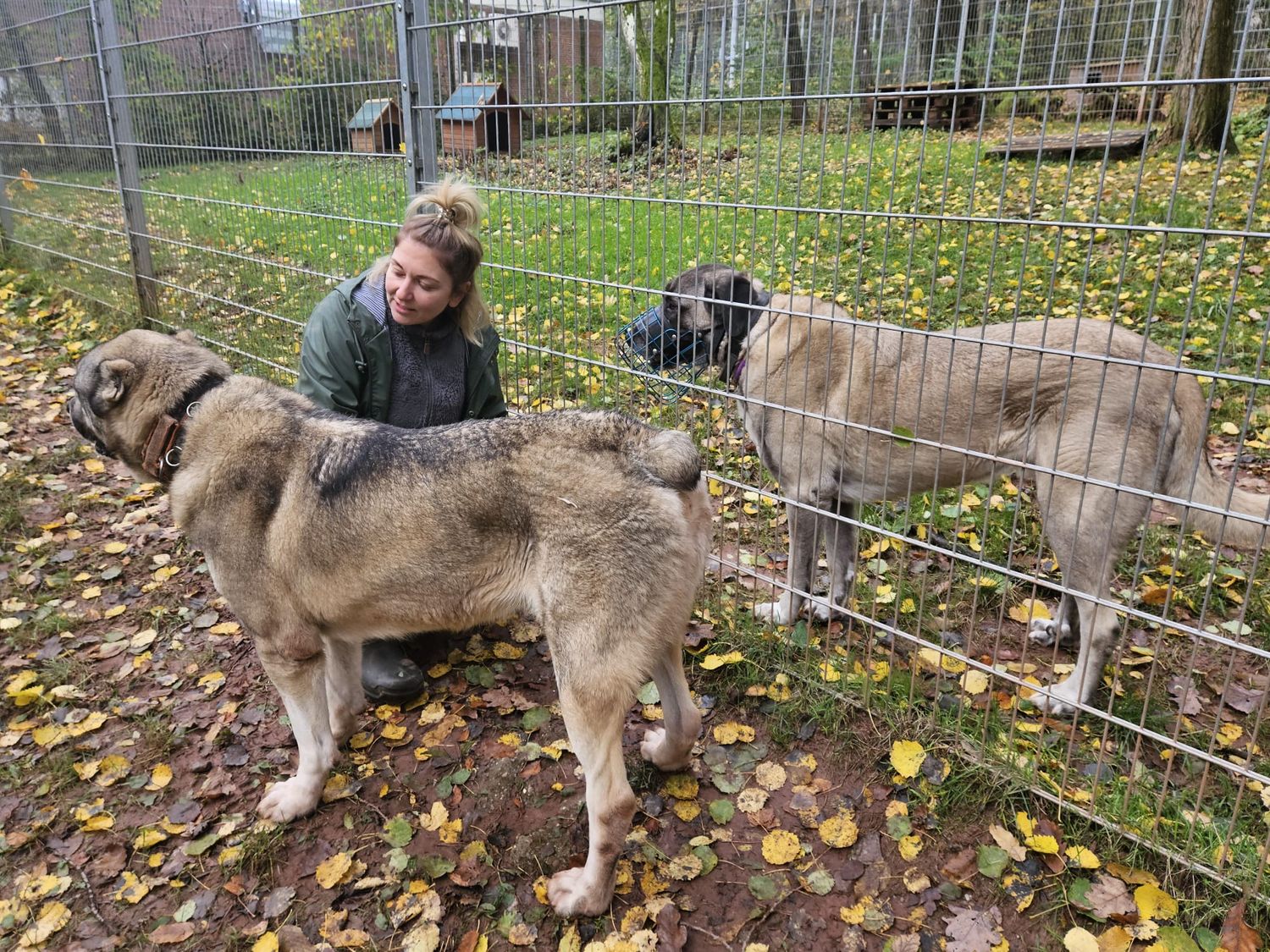 Intensivtraining / Intensivtage im Kompetenzzentrum