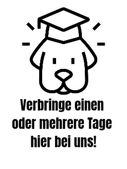 Intensivtraining / Intensivtage im Kompetenzzentrum