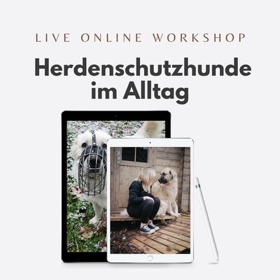 Mit Herdenschützern durch den Alltag - Online-Mitmach-Workshop für HundehalterInnen