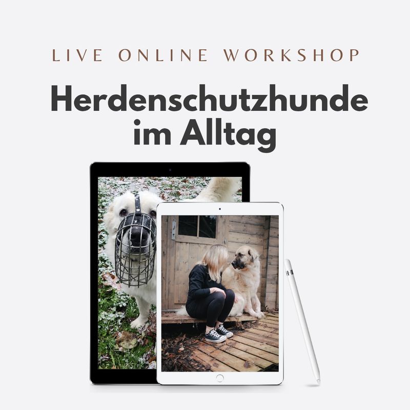 Mit Herdenschützern durch den Alltag - Online-Mitmach-Workshop für HundehalterInnen