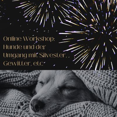 Ich glaub es knallt! Online Workshop zum besseren Umgang mit Unwetter und Feuerwerk