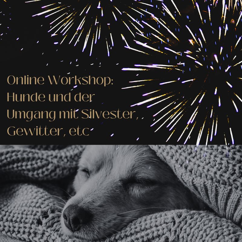 Ich glaub es knallt! Online Workshop zum besseren Umgang mit Unwetter und Feuerwerk