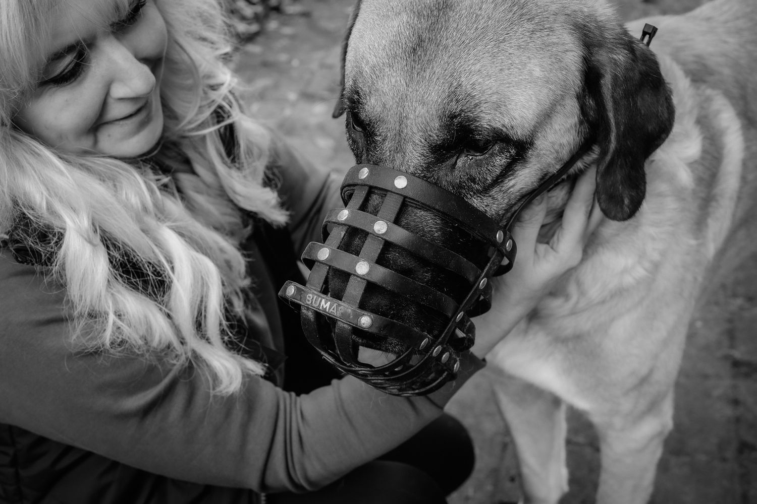 How to: Maulkorbberatung / für HundetrainerInnen (Online und Präsenz)