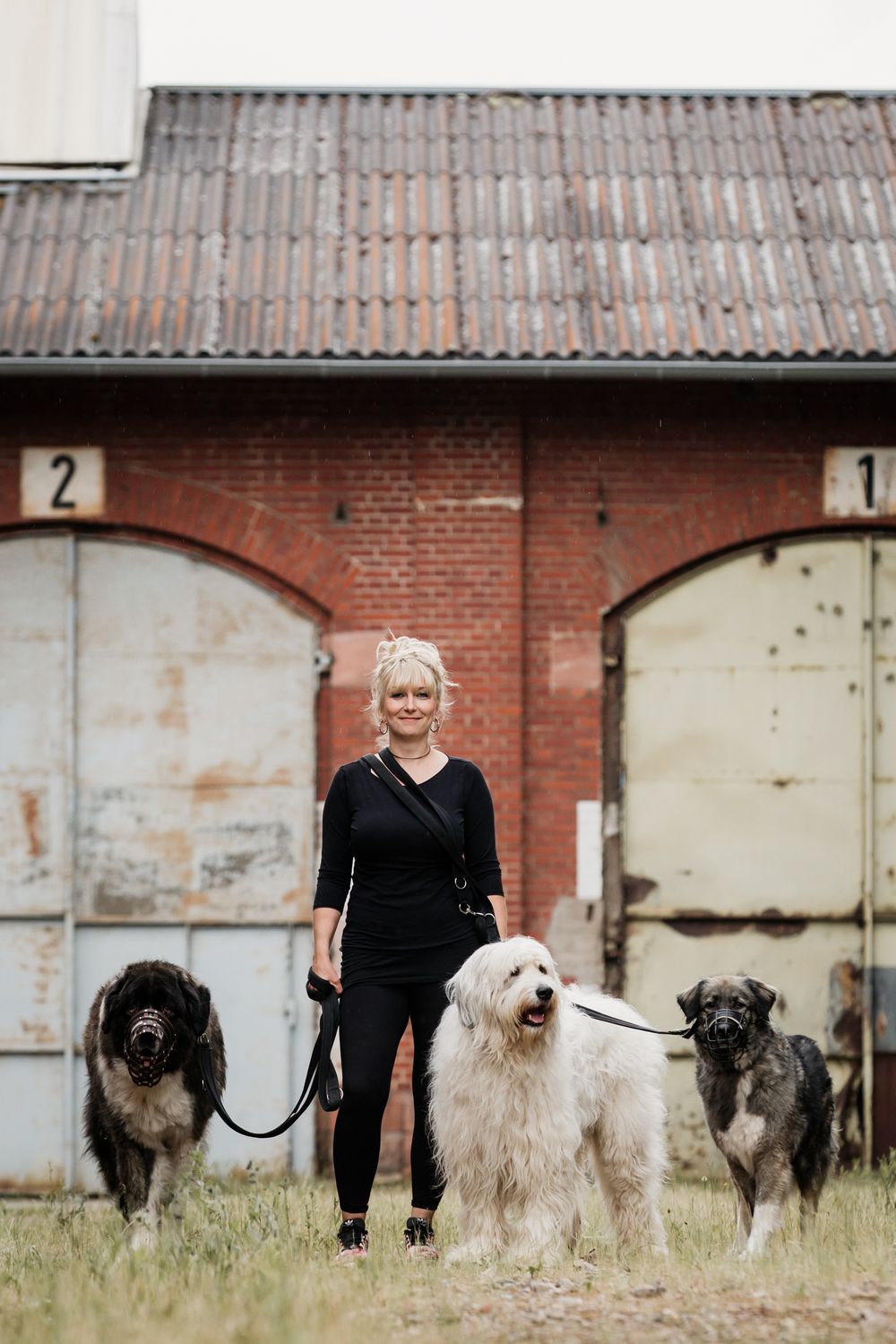Checkliste HOW TO - Reisen mit Herdenschutzhund &amp; Co.