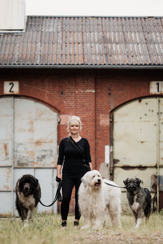 Checkliste HOW TO - Reisen mit Herdenschutzhund &amp; Co.