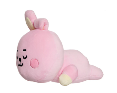 BT21 - Baby Kissen Cooky