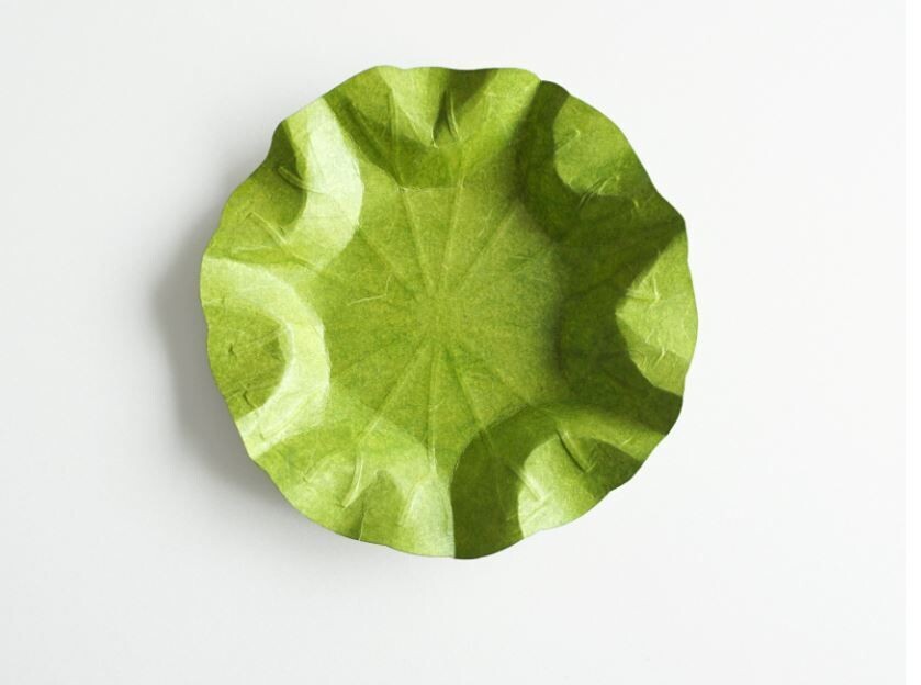 Hanji Schale Lotusblatt (S)