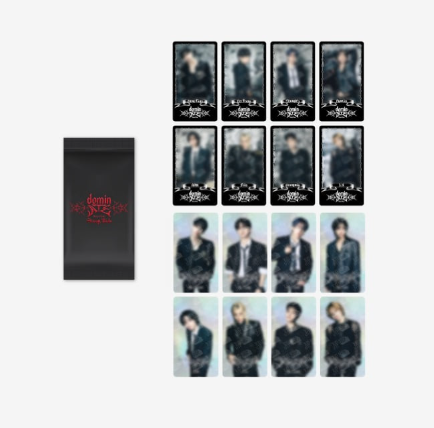 Stray Kids SPECIAL TRADING CARD - dominATE SEOUL