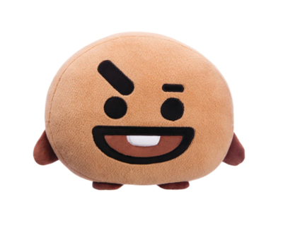 BT21 - Kissen Shooky