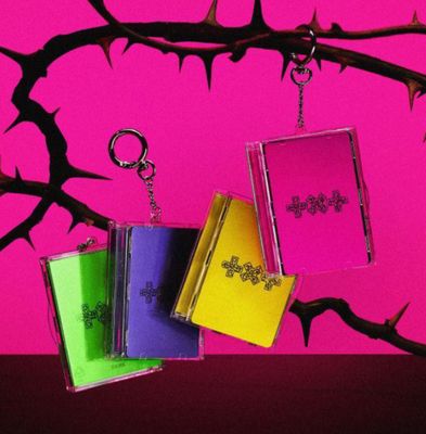 TXT - TOMORROW X TOGETHER 7TH YEAR: WHEN THE WIND PAUSED AMONG THE THORNS (Photocard Case Ver.) [Vorbestellung] + POB