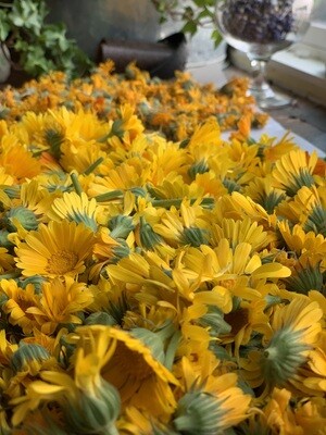 Calendula/Yarrow Salve