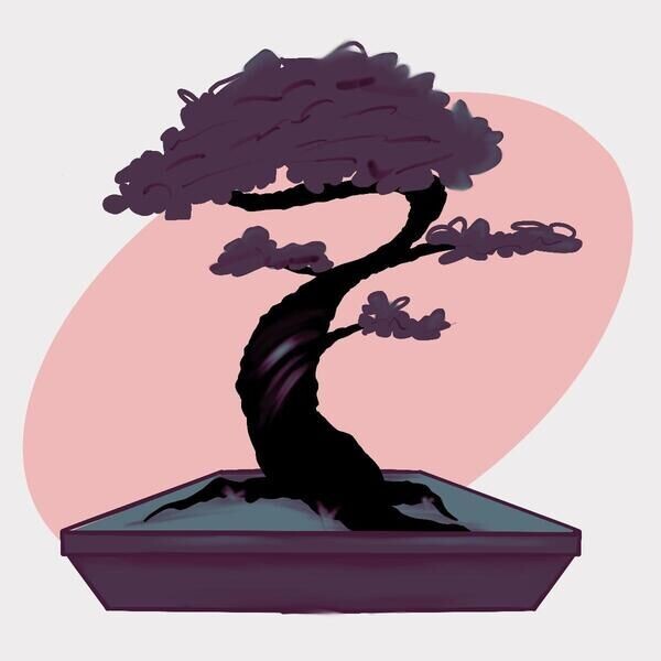 Maisons House of Bonsai