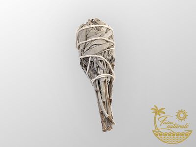 Weiße Salbei-Fackeln