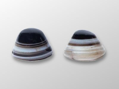 Schutzstein - Shivas Auge natürlicher Achat Schutzstein - Shivas Auge natürlicher Achat