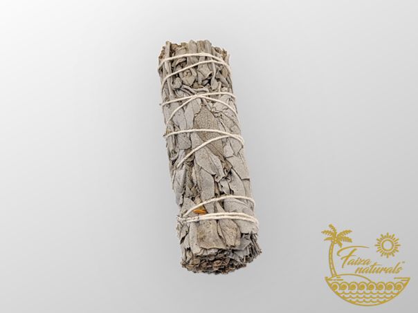 Kalifornischer weißer Salbei Bündel