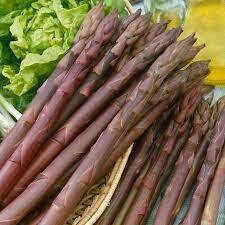 Asparagus, Purple Passion - Bare Root (5) Bundle $12.00